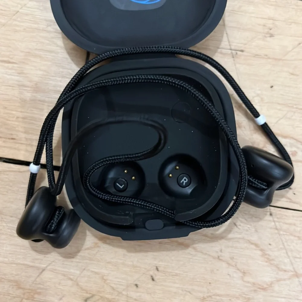 Google Earbud Headphones